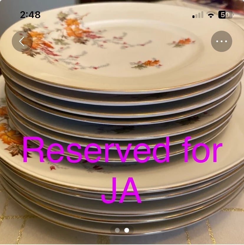 15” platter and plates bundle ( reserved)
