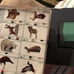 Janome Embroidery Card Wild Life & Fishi