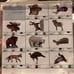 Janome Embroidery Card Wild Life & Fishi