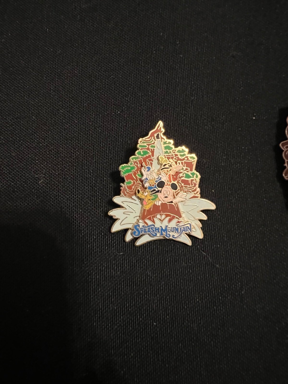 Disney Splash Mountain Slider Pin