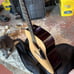 Fender acoustic guitar