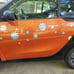 daisy holographic decals set of 11 stickers vinyl hippie flower car van bike lap