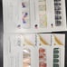 Color Street Hoard De-Stash! 37 NWT sets!
