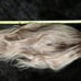100% Hand tied/Human Hair - golden blonde wig