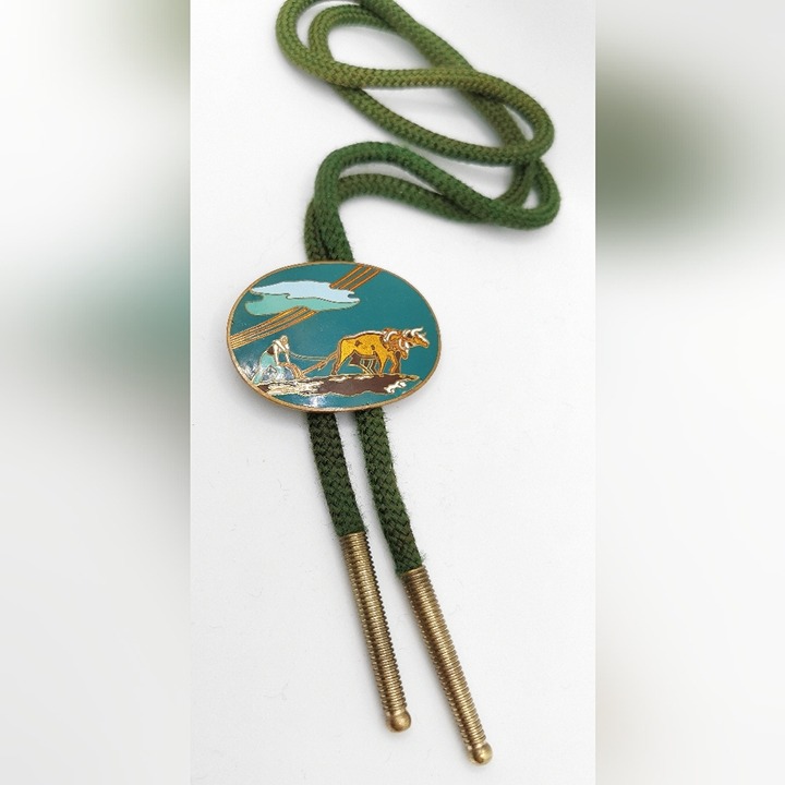 Vintage enamel on brass agricultural bolo tie