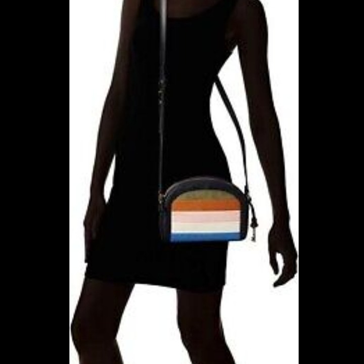 Fossil Chelsea Navy Rainbow Striped Leather Crossbody Bag Purse.