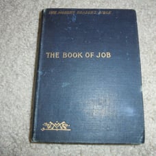 Antique Book 1897, Modern Reader's Bible