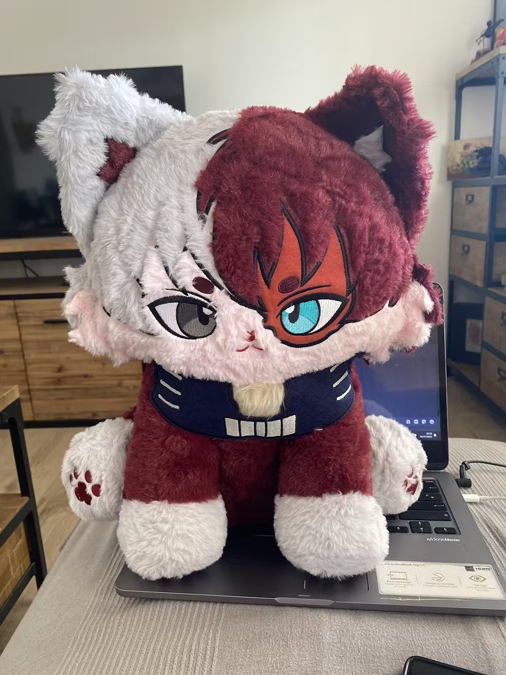 Todoroki Shoto Meow New Cute