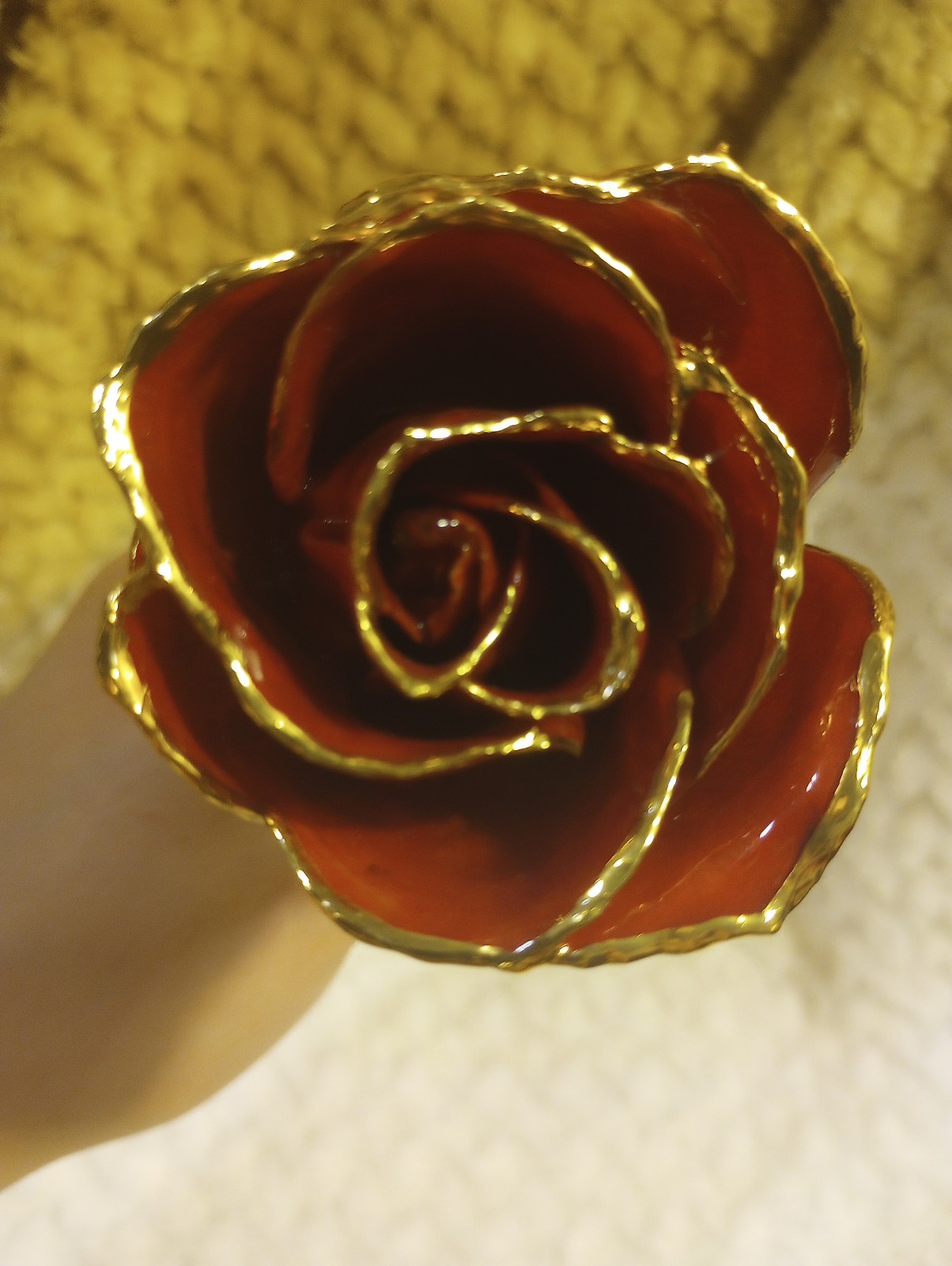 24k gold rose