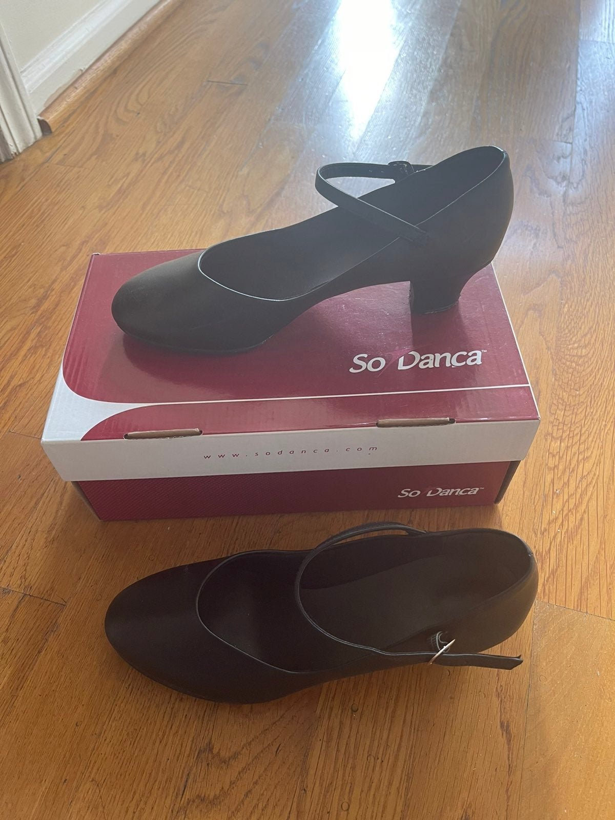 Professional Dance shoes
